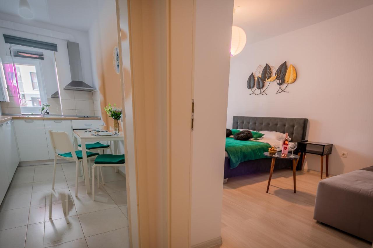 Coresi Vibe Studio Braşov Exterior foto