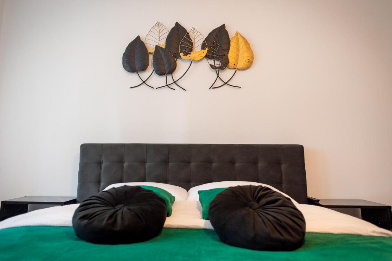 Coresi Vibe Studio Braşov Exterior foto